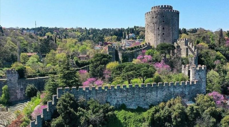 İstanbul'da erguvanlar Nisan ayı sonu ve Mayıs başında açıyor İşte İstanbul'da erguvan rotaları 1