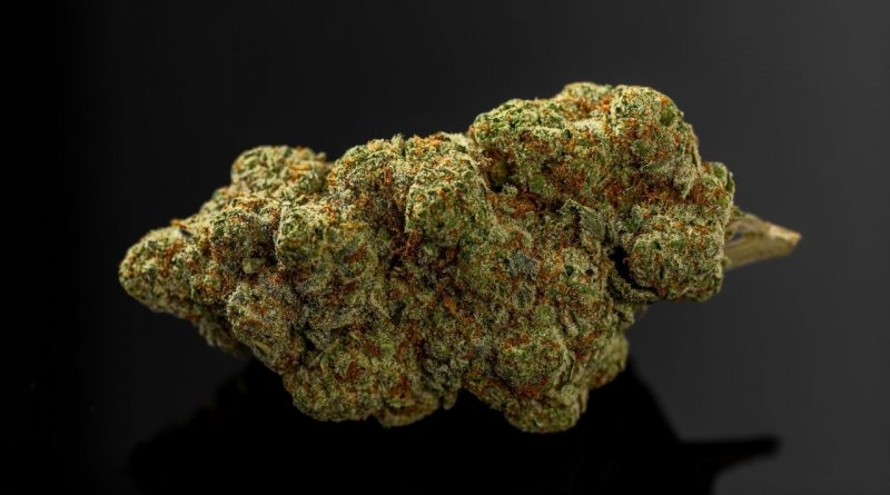 Skunk uyuşturucu şizofreniye yol açıyor 1