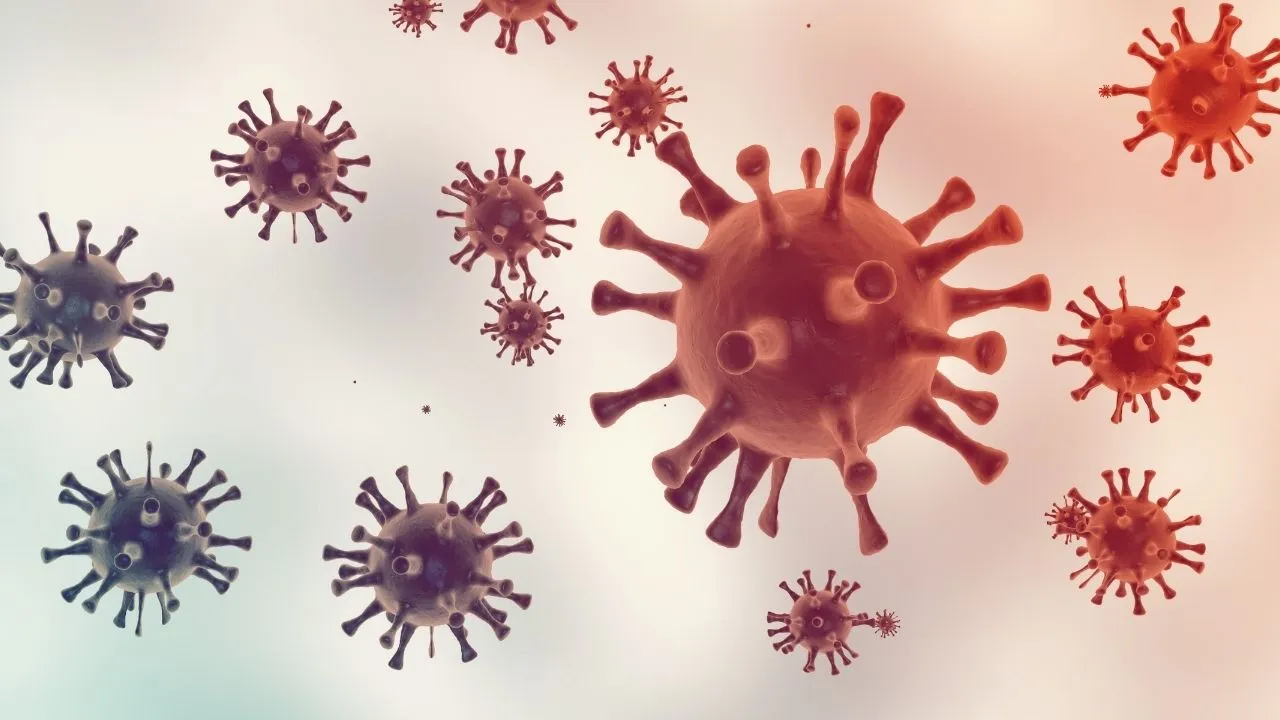 Dünya Sağlık Örgütü Doğruladı! İlk ölümcül H5n2 Kuş Gribi Vakası Meksika’da Ortaya çıktı