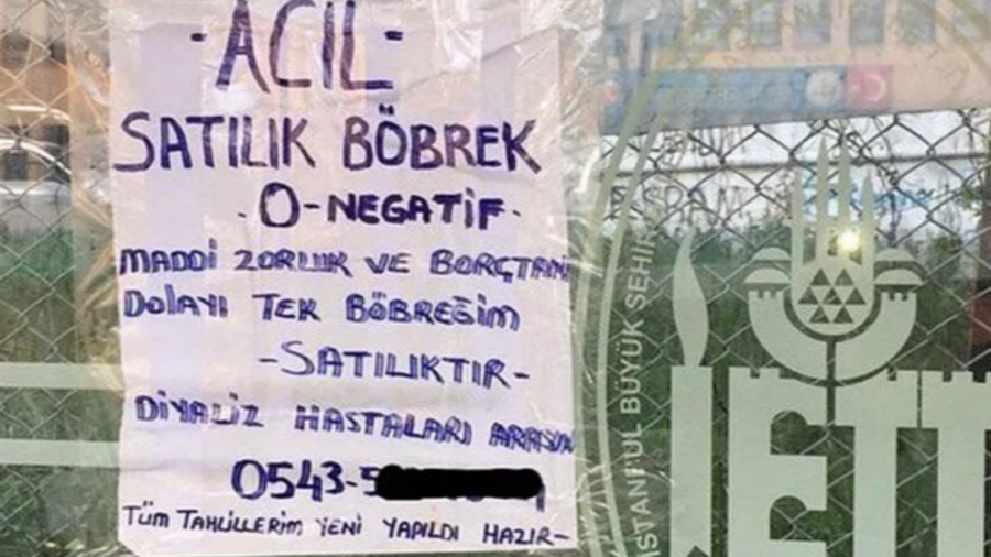 cimer başvuru nasıl yapılır