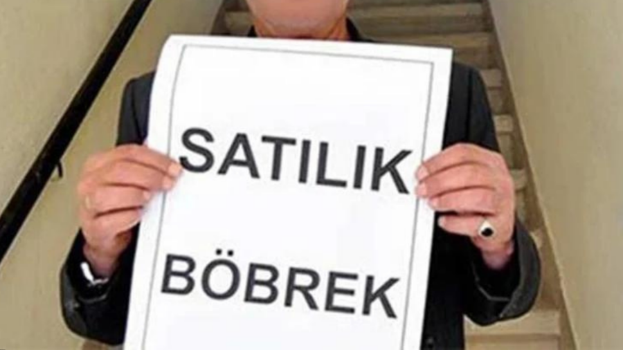 cimer'den böbrek nasıl öğrenilir