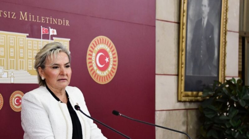 Nimet Özdemir, sokak hayvanları yasası ve diplomasıyla gündemde! İYİ Parti milletvekili iddialara yanıt vermedi 1