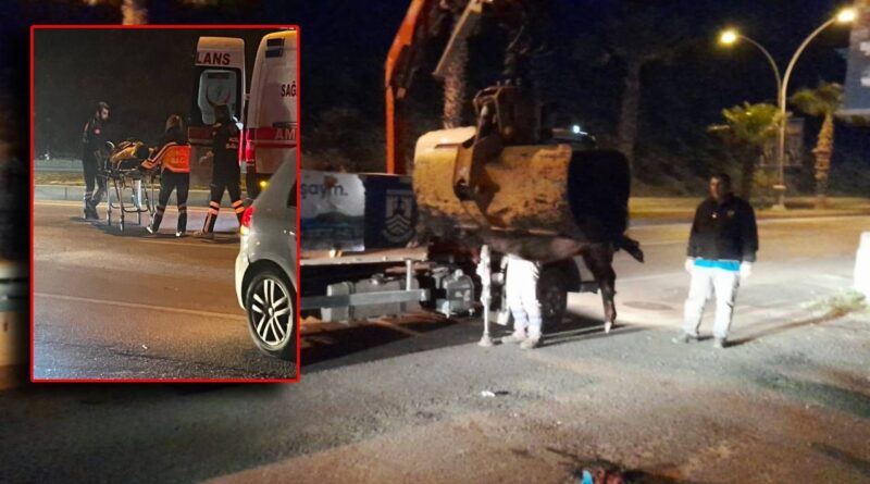Bodrum'da yaban domuzu ortalığı birbirine kattı: 3 araç kaza yaptı, 2 kişi yaralandı 1