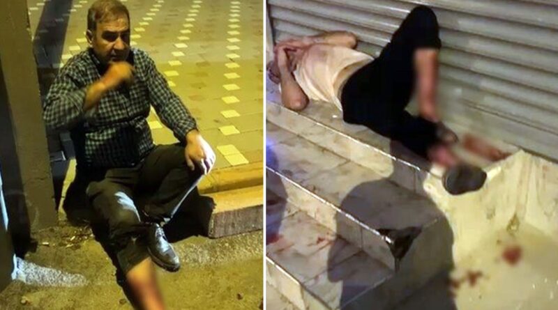 Evden kaçan pitbull dehşet saçtı! Sahibini ve 2 kişiyi yaraladı 1