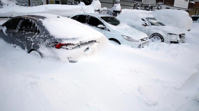 Ardahan kara teslim oldu! 2 gündür aralıksız yağdı, araçlar kar altında kaldı 1