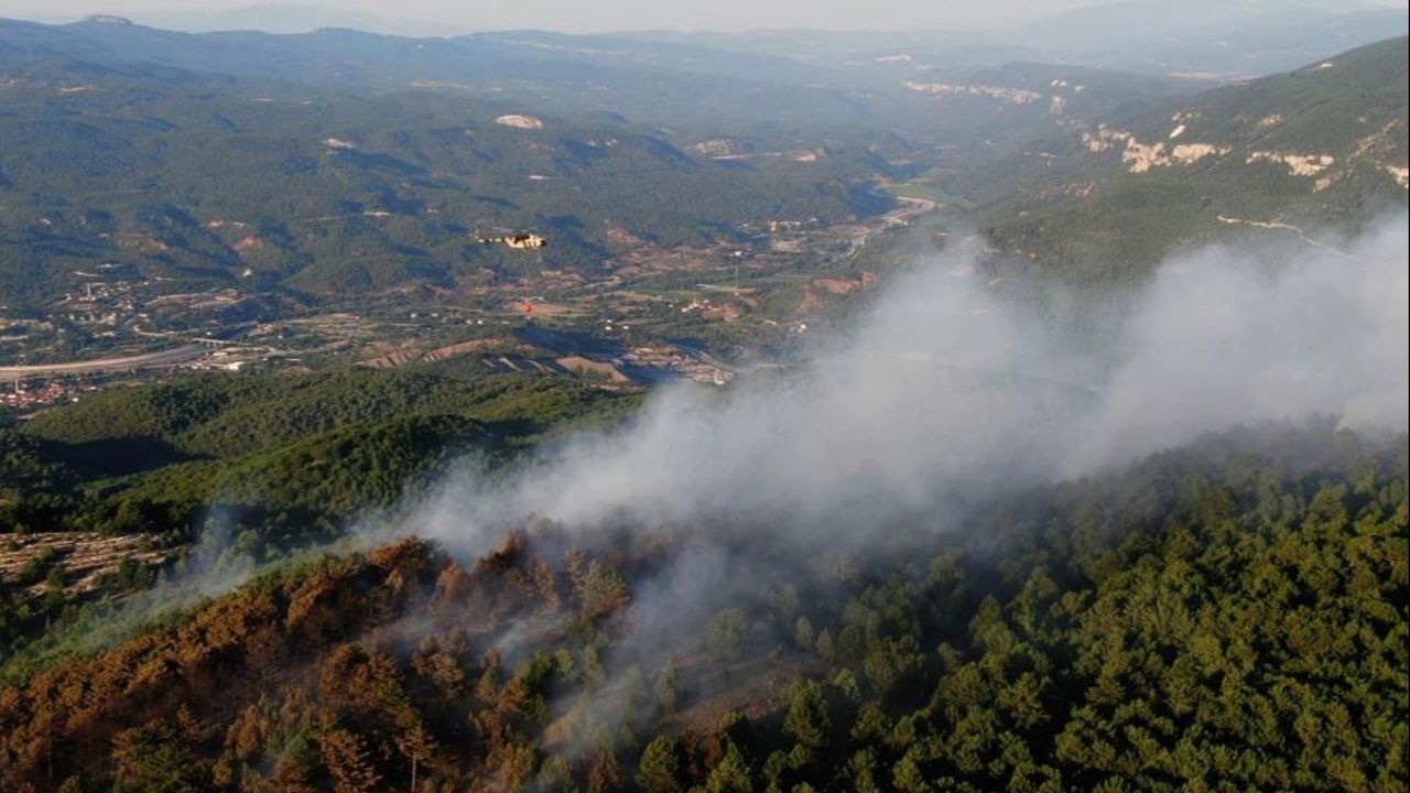 Kastamonu ve Karabük'te orman yangını! Hızla yayılan alevler kontrol altında