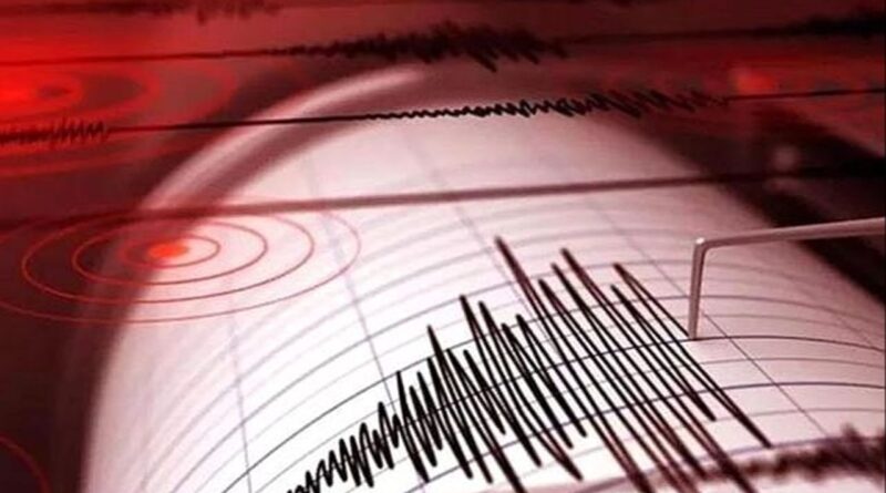 Malatya Doğanşehir'de korkutan deprem 7