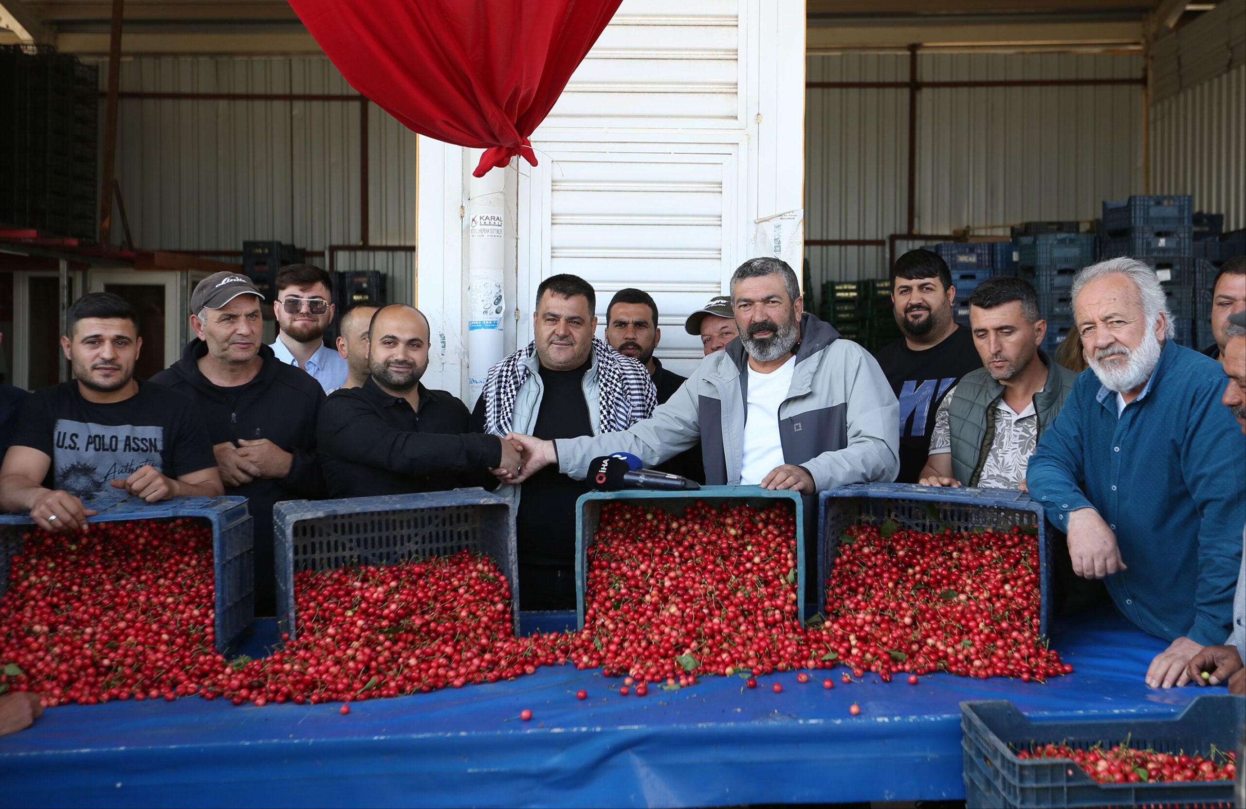 Sezonun ilk kiraz hasadı! Kilosu 2 bin liradan satıldı - 2. Resim