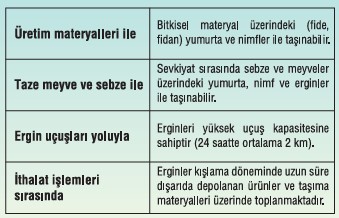 Samuray arısı tehlikeli mi ne yer kahverengi kokarcayı öldürür mü