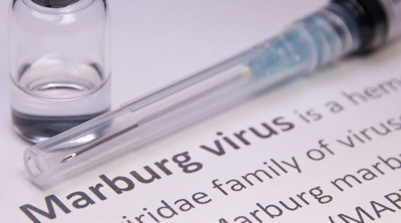 Marburg virüsü belirtileri mide bulantısı, kusma, ishal ile başlayıp organ yetmezliğine kadar götürüyor 2
