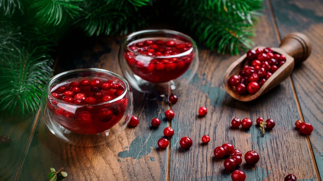 Cranberry kızılcık mı merak edildi! Dr Güleç öneriyor işte satıldığı yerler