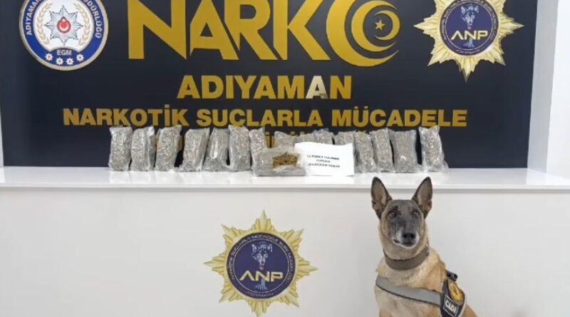 Adıyaman'da Hassas Burunlu Köpek Yardımıyla 5 Kilogram Esrar El Konuldu 1