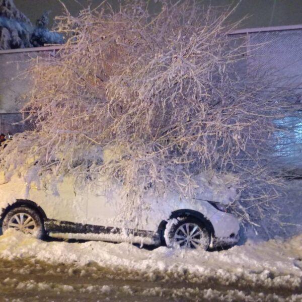 Ağaç Bozüyük'te park halindeki otomobile devrildi-1