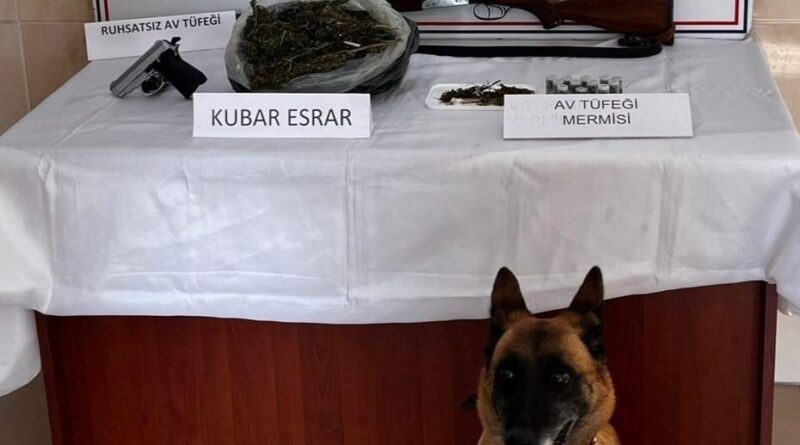 Alaçam'da D.S. Adli'nin Eviyle Uyuşturucu ve Ruhsatsız Tüfek Ele Getirildi 1