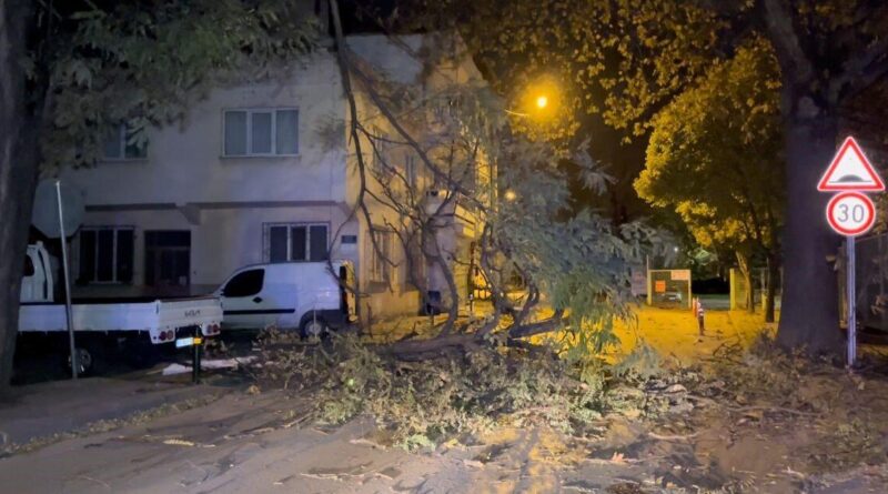 Bursa'da Şiddetli Lodos Ağaç Devirdi 1