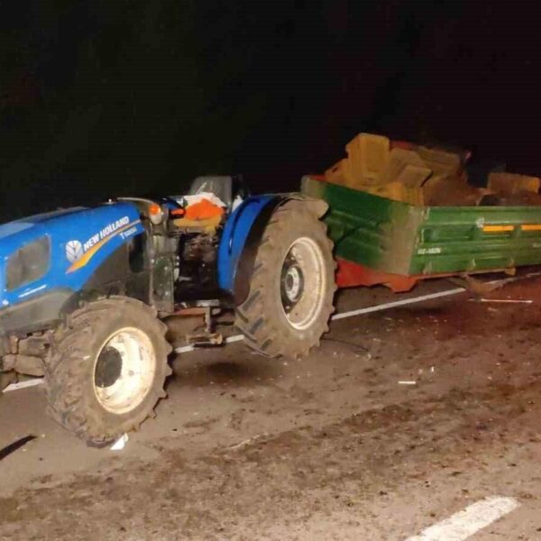Kaza sonucunda yola saçılan zeytinler-4