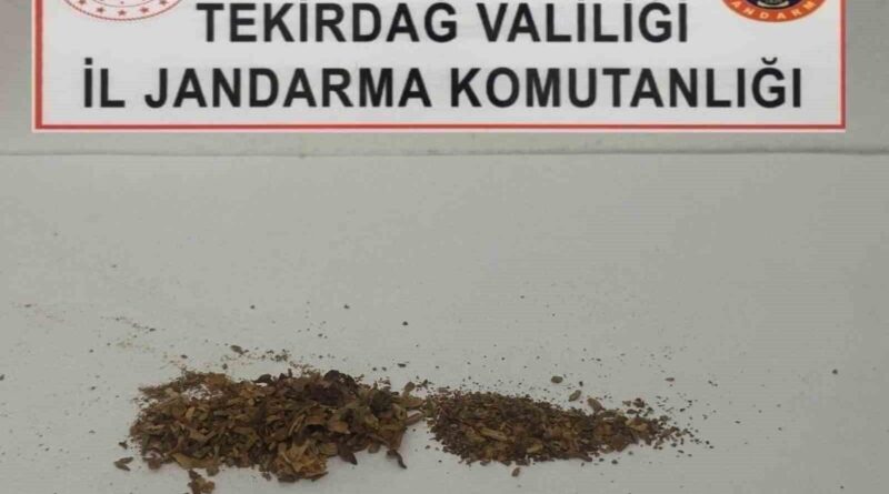 Tekirdağ'da Jandarma Üstünlüğünde 3 Operasyonda 5 Şüphei Hedeflenip Uyuşturucular Ele geçirildi 1