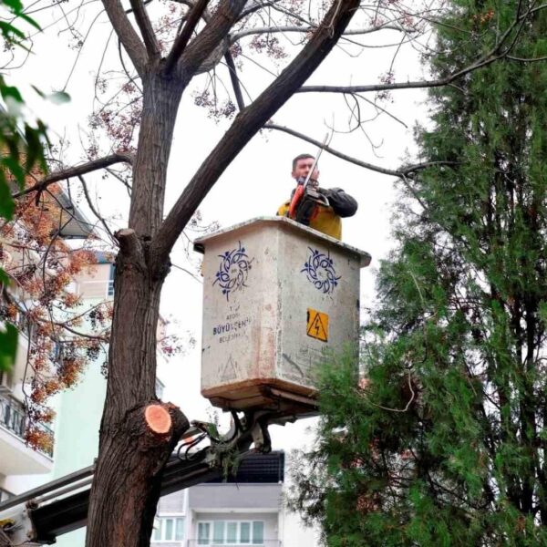 Aydın Büyükşehir Belediyesi Park ve Bahçeler Dairesi Başkanlığı'nın çalışmaları-1