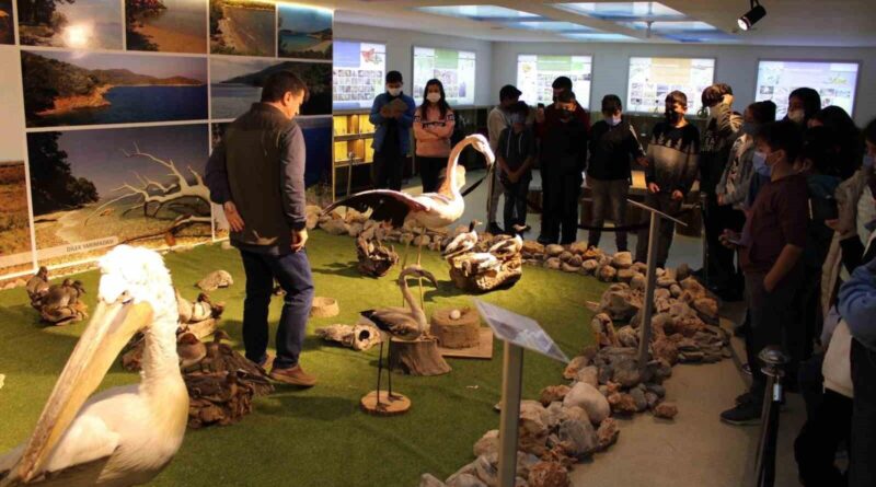 Aydın'da Doğa Eğitimi: 2.700 Öğrenciye Doğa Koruma Bilgisi Verildi 1