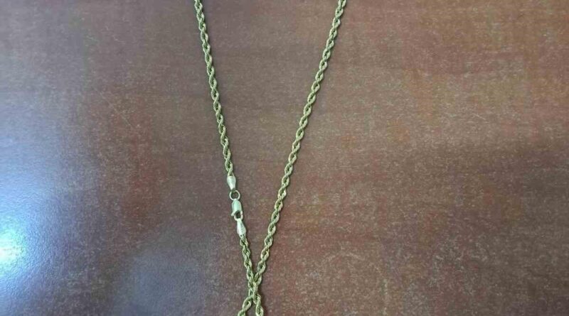 Aydın Koçarlı'nda Altın ve Para Çalan Hırsızoğulları Jandarma Tar Yakaladı 1