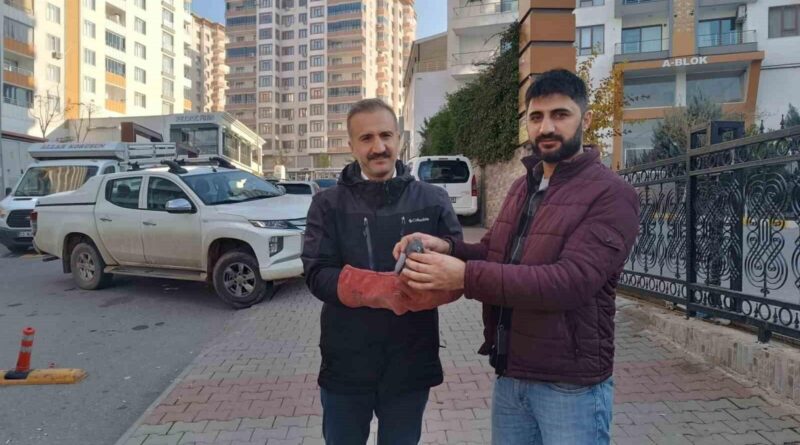 Batman'da Güvenlik Görevlileri Bahçede Yaralı Yaban Güvercini Buldu, Hayvan Doğa Koruma Ekipleri Tar Tedavi Altına Aldı 1