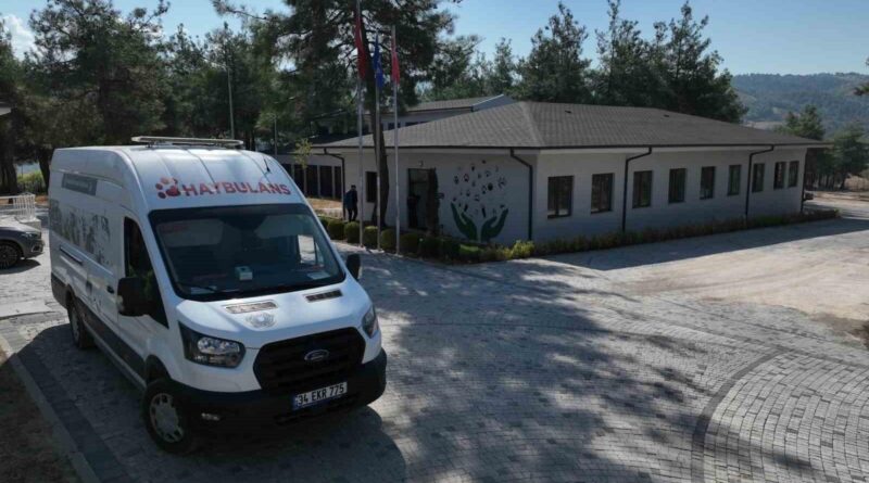 Bursa Büyükşehir Belediyesi'nin 'Yuvanız Yuvası Olsun' Projesi ile Sokak Hayvanlarına Sıcak Yuva 1