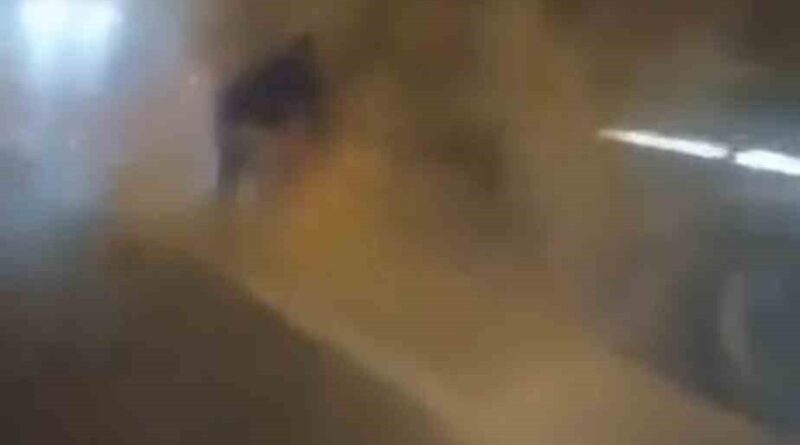 Bursa Otobanı Görükle Mevkii'nde Pancar Yükli Tırın Lastiği Alev Aldı, Diğer Şoförler Müdahale Etti 1