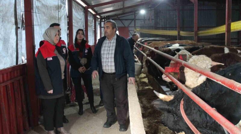 Düzce'de Tarım ve Orman Bakanlığı Desteğiyle Hayvancılık İşletmesi Başarıya Ulaştı 1