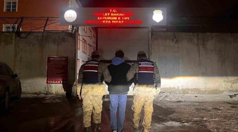 Erzurum'da Jandarma Operasyonu: 5 Afgan Göçmen ve 2 Örgütücü Yakalandı 1