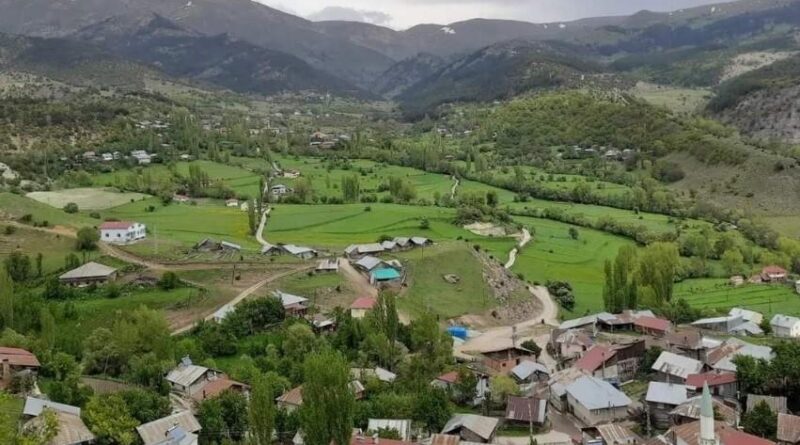 Giresun Alucra Demirözü Köyünde Yaşanan Teknoloji Mahrumiyeti ve Göç Sorunu 1