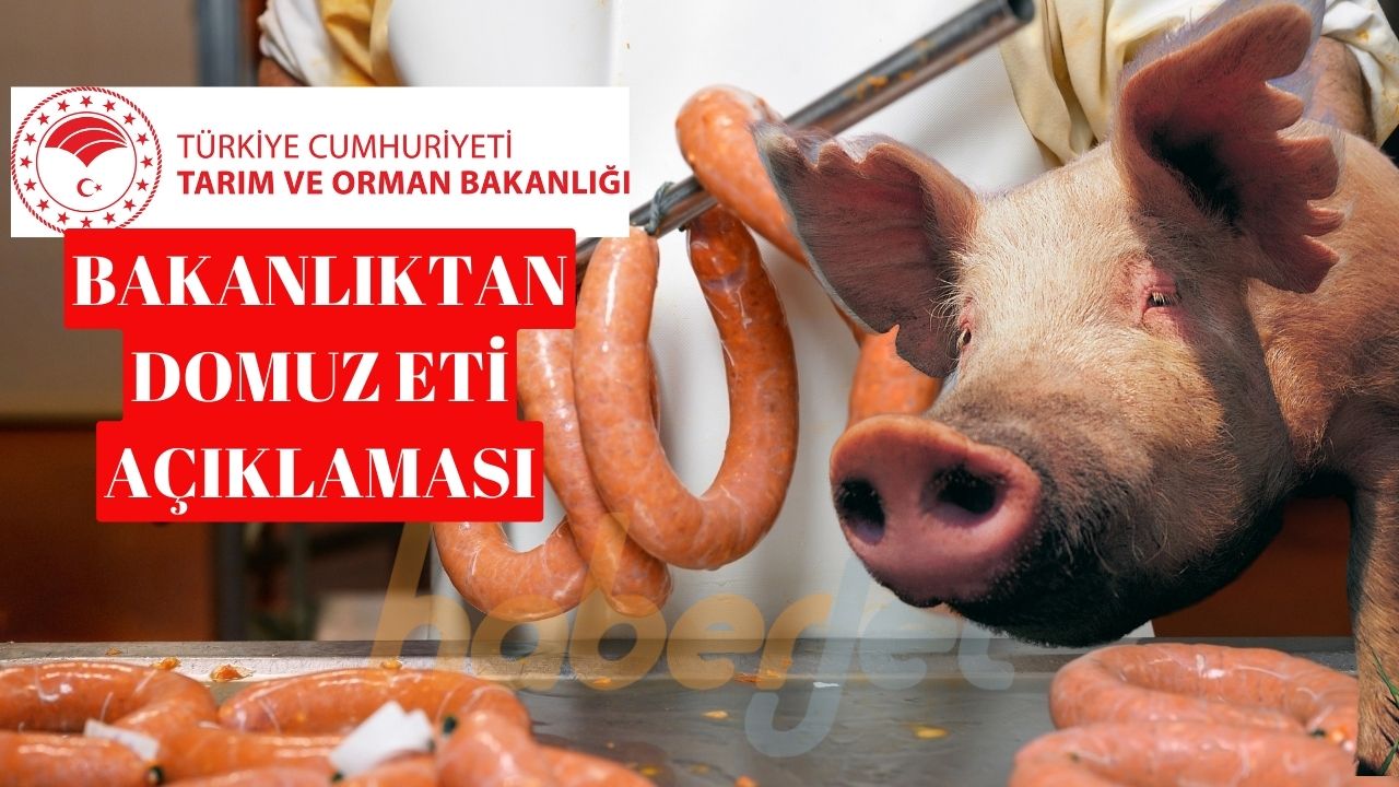 Tarım ve Orman Bakanlığı ifşa listesi 19 Aralık 2024