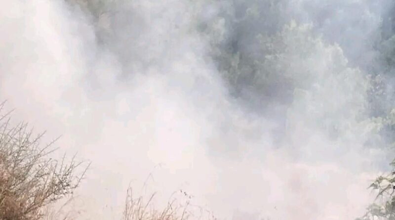 Hatay İskenderun'da Şahin Tepesi Orman Yangını Itfaiye Müdahilesiyle Sönürüldü 1