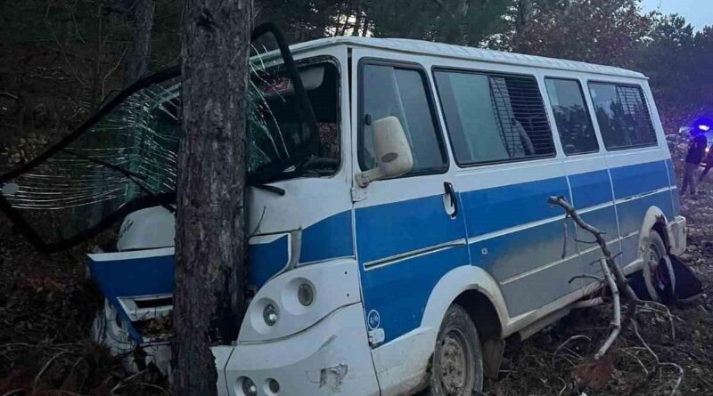 Kontrolden çıkan minibüs ağaca çarptı: 5 yaralı 1