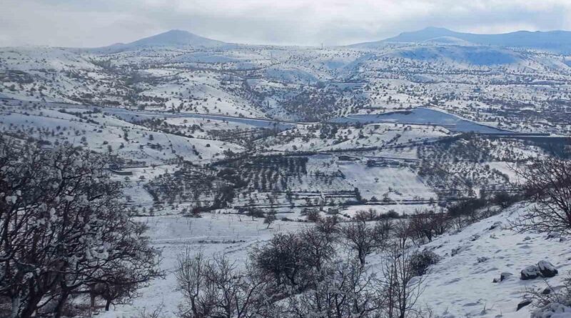 Malatya'da Kar Yağışı: Akçadağ, Arapgir ve Darende'de Hayat Olumsuz Etkileniyor 1