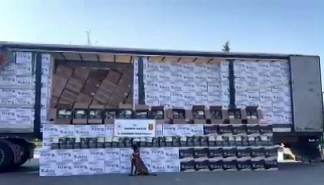 Sakarya'da Jandarma: 134 Şüpheciden 12'si Tutuklandı, 8 milyon Makaron ve Diğer Kaçak Ürünler Ele geçirildi 1
