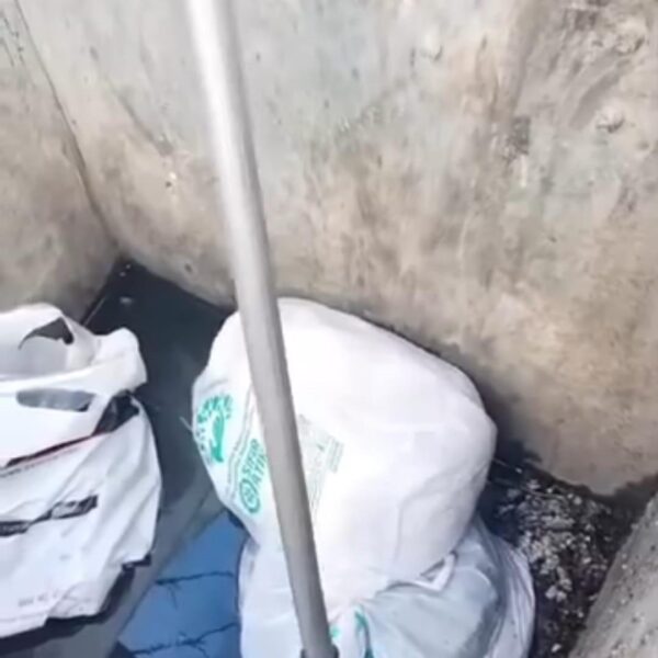 Sancaktepe'de yavru köpeklerin%-5