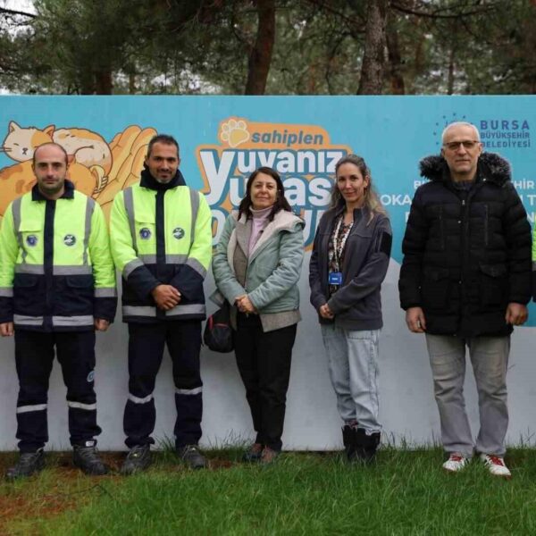 Sokak hayvanlarının ücretsiz mama, aşı ve tasma gibi ihtiyaçları karşılanıyor-3