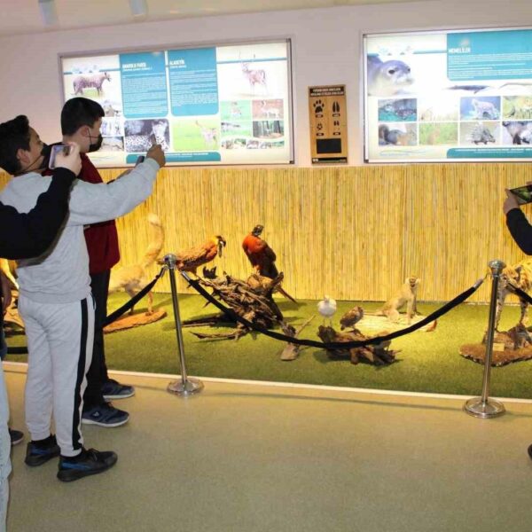 Tabiat Eğitim Merkezi'nde doğa dersleri-2