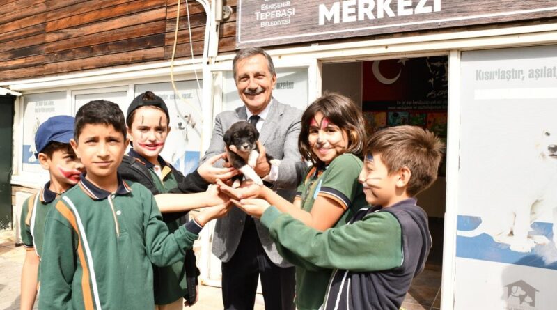 Tepebaşı Belediyesi Doğal Yaşam Merkezi: 2024'te 607 Sokak Hayvanını Sahiplendirdi 1