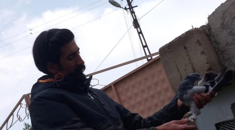 Ağrı'da Güvercin Sever Turan Karip, Soba ile Güvercinlerini Isıtıyor 1