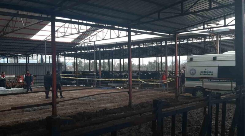 Aydın'ın Bozdoğan'da Çatıdan Düşen İşçi Soner Köse Hayatını Kaybetti 1