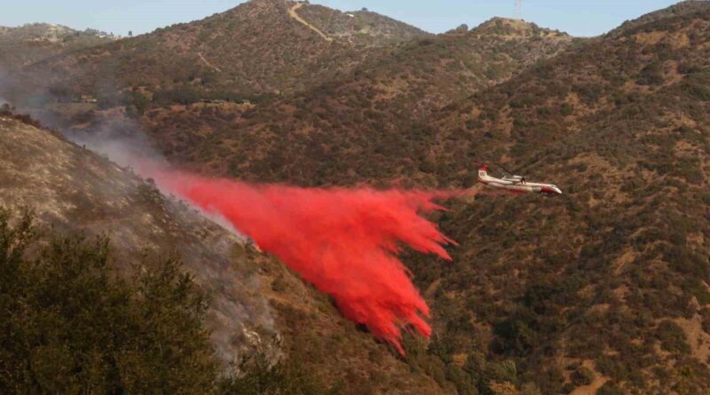 California Orman Yangınları: Mahkumlar ve Ünlüler Yardımcı Olurken Trump'a Ziyaret Davet 1