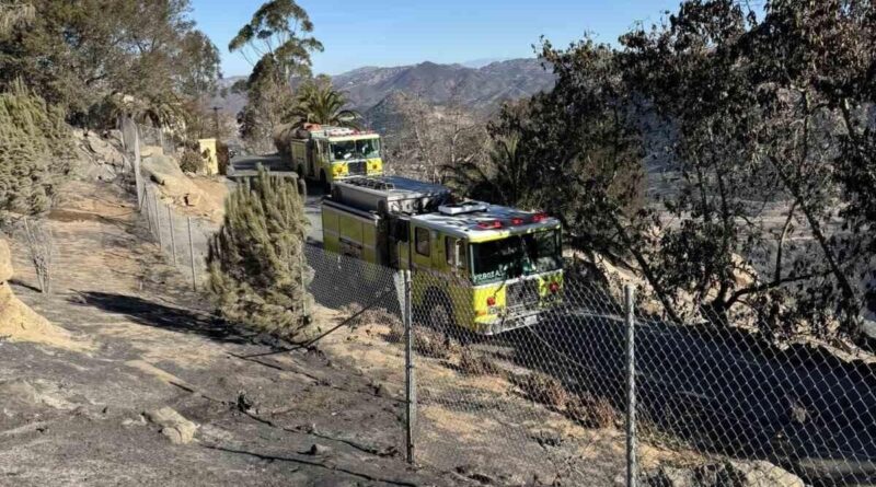 California Orman Yangınlarında Ölü Sayısı 28'e Yükseldi 1