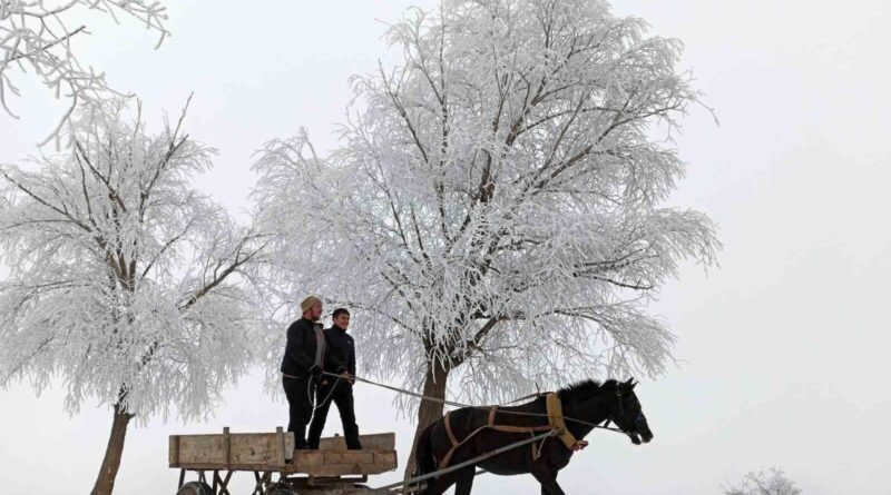 Erzincan'da Hava Soğdu, Otlukbeli'nde Eksi 20 Derece 1
