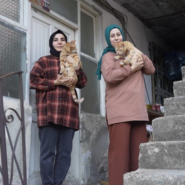 Hayvansever kadınlar engelli kedilere şefkatle bakıyor.-4