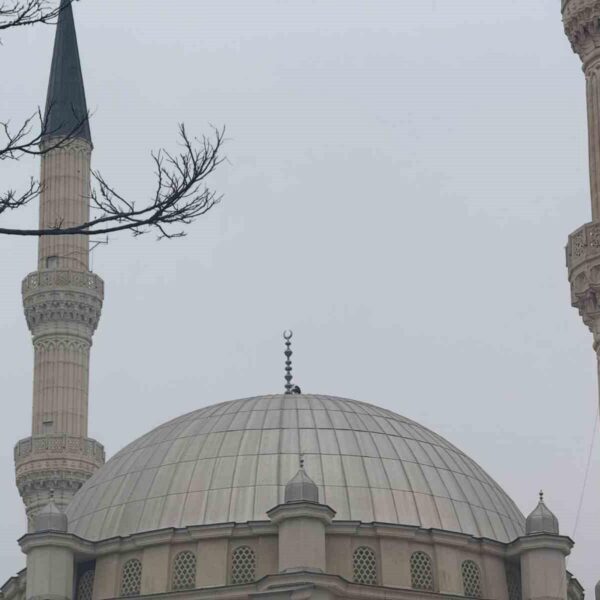 Iğdır'da leylek yuvaları-2