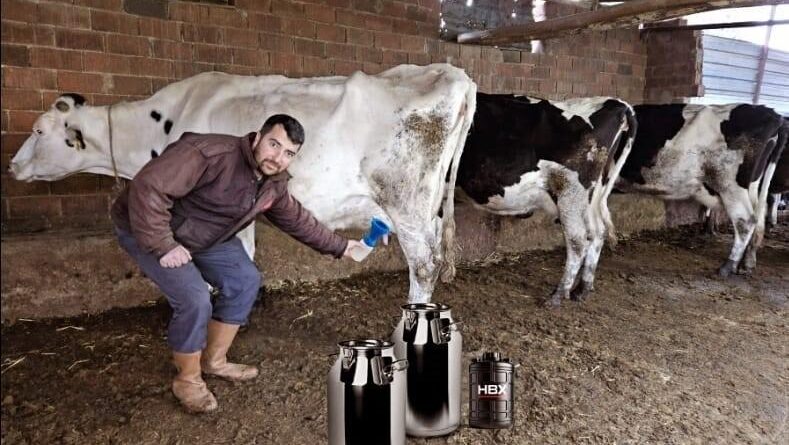 Karya Farma, Mastitist Tedavisinde Doğal Çözüm Üretti 1