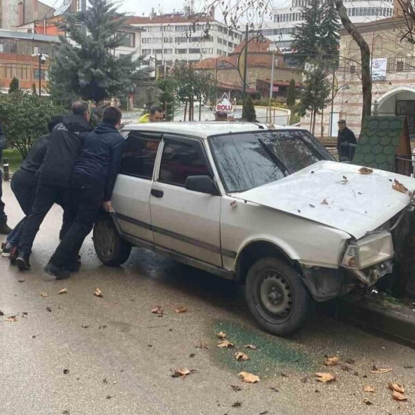 Köpeğe manevra yapan otomobilin ağaca çarpması-1