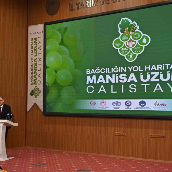 Manisa'nın üzüm üretimi için elverişli coğrafi konumu ve iklimi-2