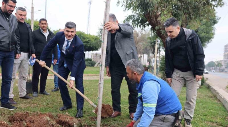 Mersin Akdeniz Belediyesi Dr. Sadık Ahmet Parkı'nda Park Bakım Çalışmaları Hızlendirildi 1